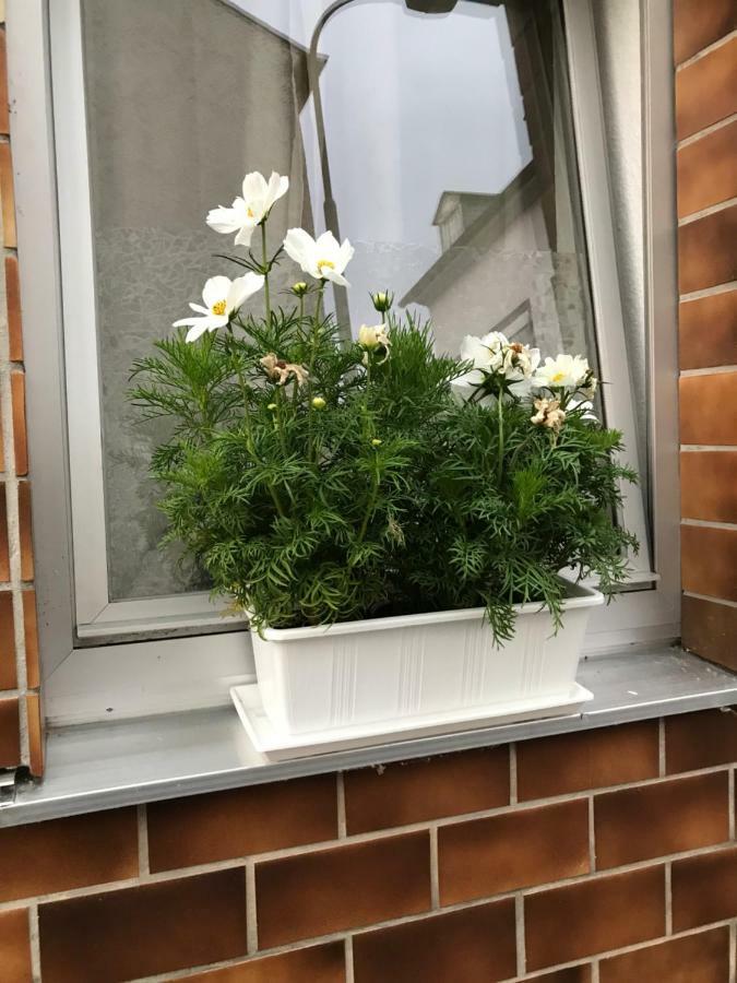 فيلا Ferienhaus Loehr Mit Treppenlift كوبلنس المظهر الخارجي الصورة